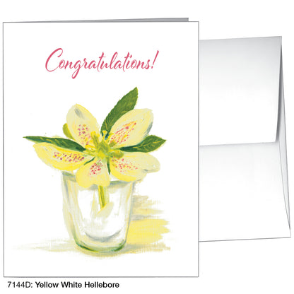 Yellow White Hellebore, Greeting Card (7144D)