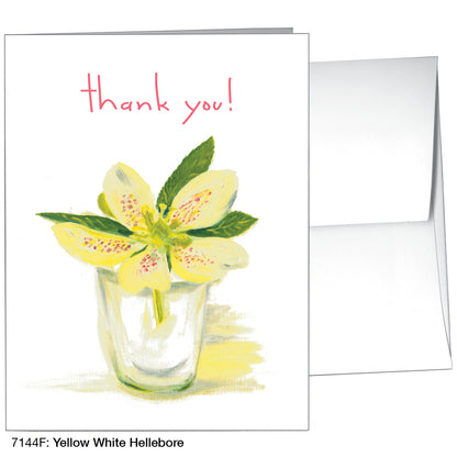 Yellow White Hellebore, Greeting Card (7144F)