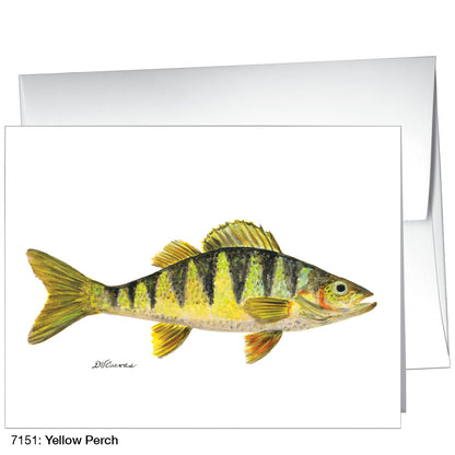 Yellow Perch, Greeting Card (7151)