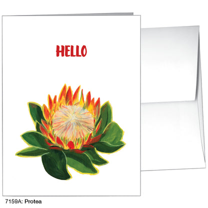 Protea, Greeting Card (7159A)