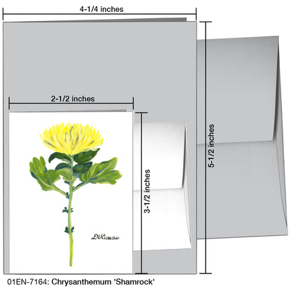 Chrysanthemum 'Shamrock', Greeting Card (7164)