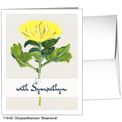 Chrysanthemum 'Shamrock', Greeting Card (7164B)