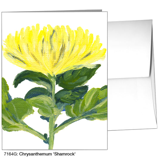 Chrysanthemum 'Shamrock', Greeting Card (7164G)