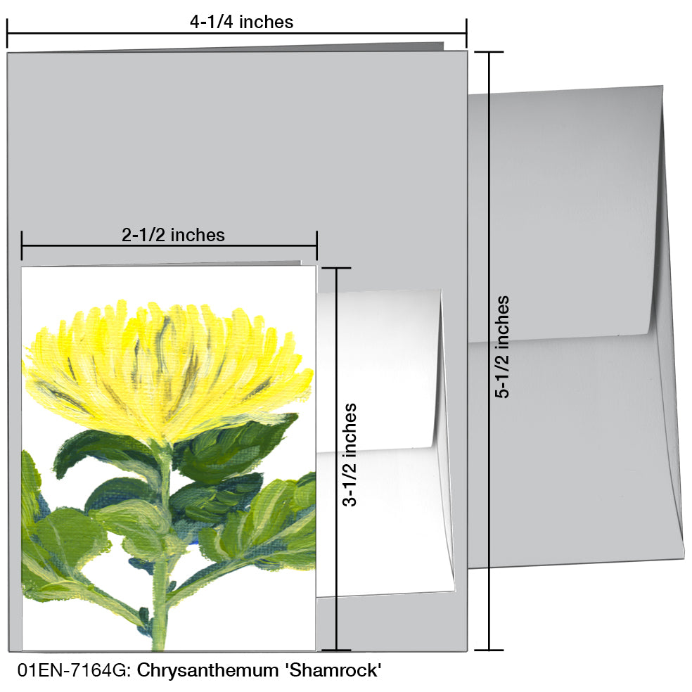 Chrysanthemum 'Shamrock', Greeting Card (7164G)