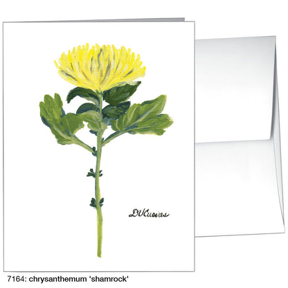 Chrysanthemum 'Shamrock', Greeting Card (7164)