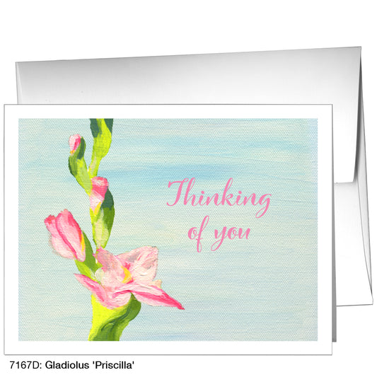 Gladiolus 'Priscilla', Greeting Card (7167D)