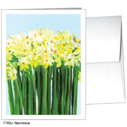 Narcissus, Greeting Card (7168J)