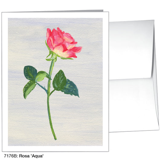 Rosa 'Aqua', Greeting Card (7176B)