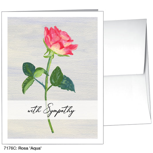Rosa 'Aqua', Greeting Card (7176C)