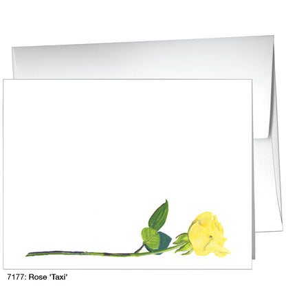 Rose 'Taxi', Greeting Card (7177)