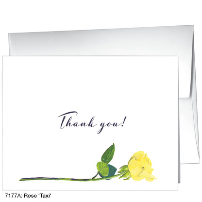 Rose 'Taxi', Greeting Card (7177A)