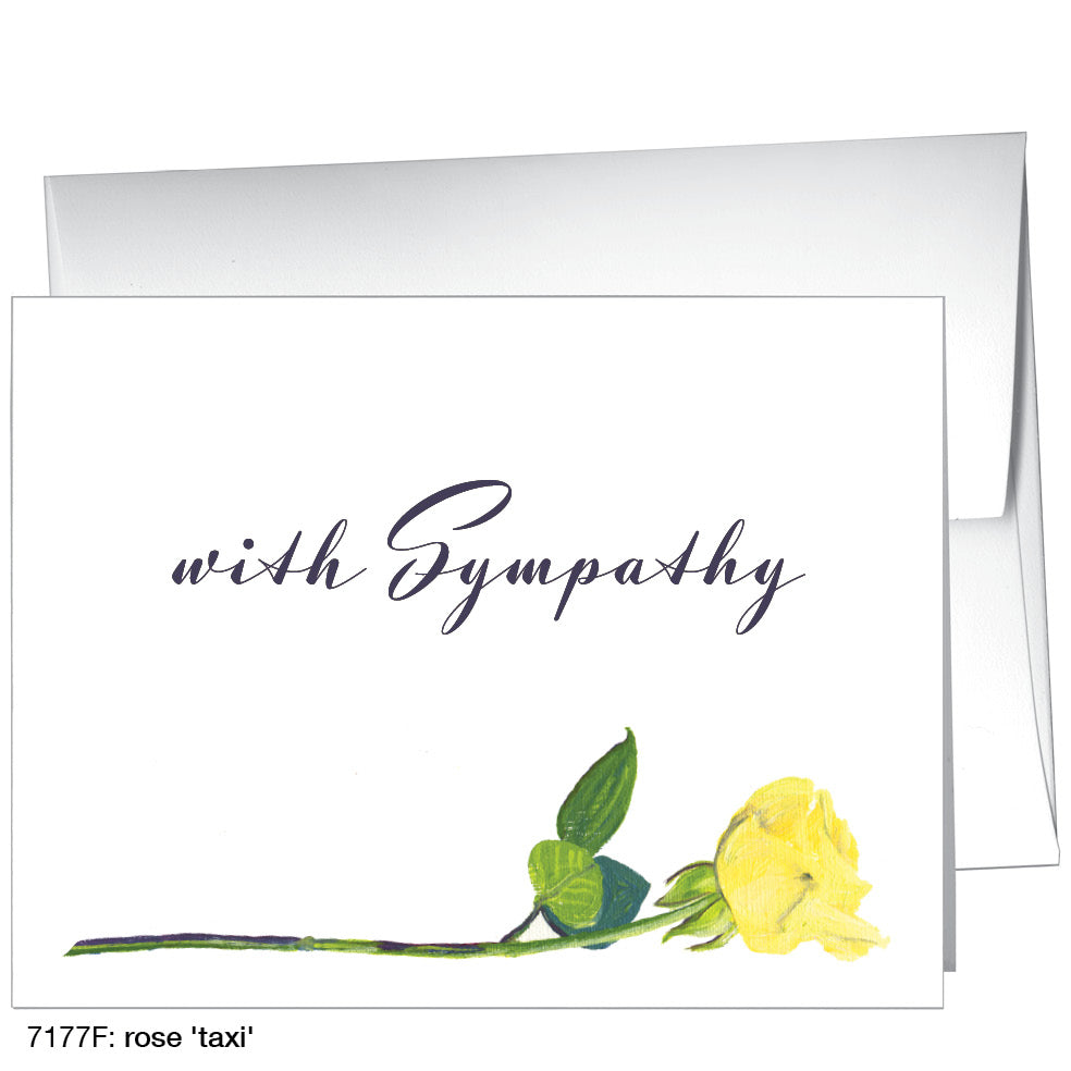 Rose 'Taxi', Greeting Card (7177F)