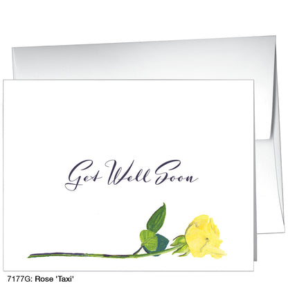 Rose 'Taxi', Greeting Card (7177G)