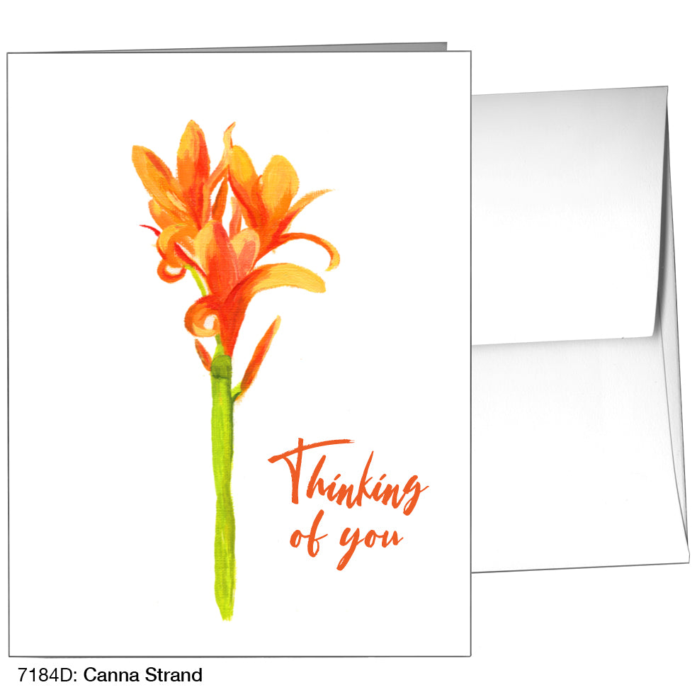 Canna Strand, Greeting Card (7184D)