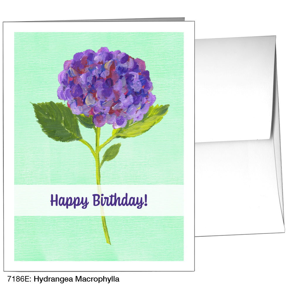 Hydrangea Macrophylla, Greeting Card (7186E)