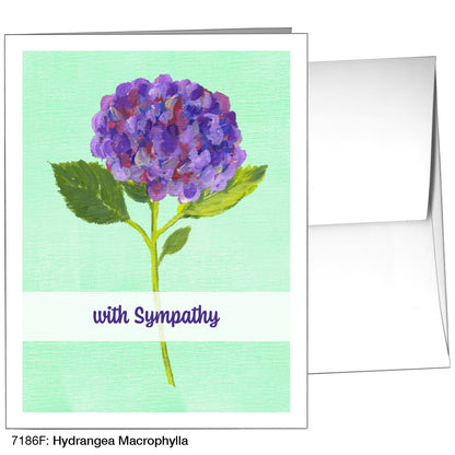 Hydrangea Macrophylla, Greeting Card (7186F)