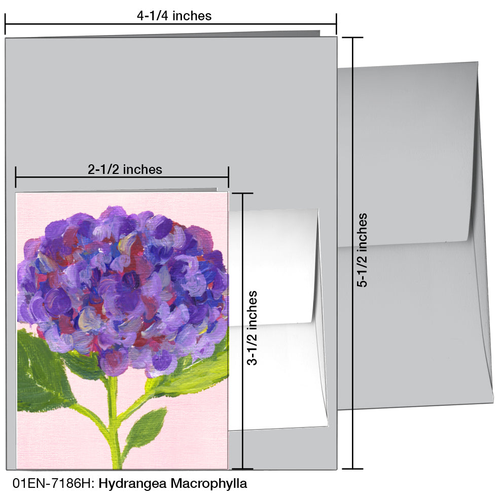 Hydrangea Macrophylla, Greeting Card (7186H)