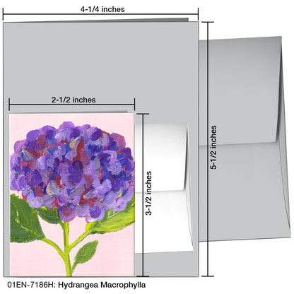 Hydrangea Macrophylla, Greeting Card (7186H)