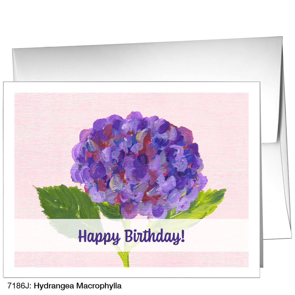 Hydrangea Macrophylla, Greeting Card (7186J)