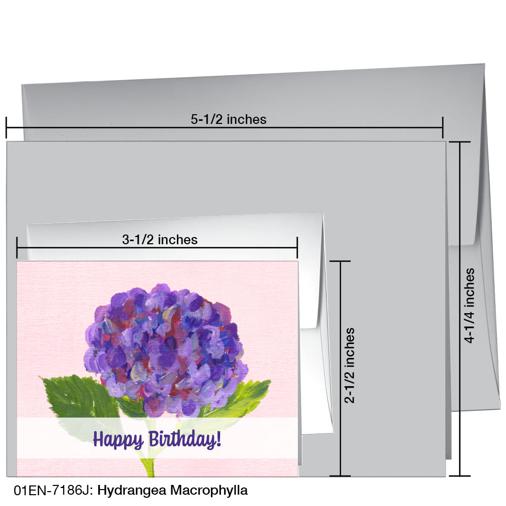 Hydrangea Macrophylla, Greeting Card (7186J)
