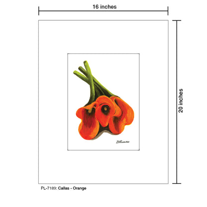Callas - Orange, Print (#7189)