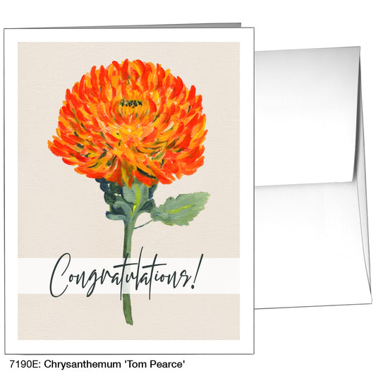 Chrysanthemum 'Tom Pearce', Greeting Card (7190E)