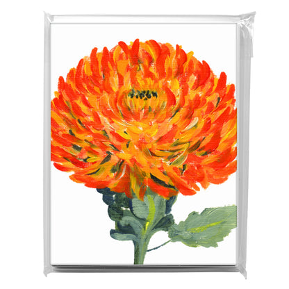 Chrysanthemum 'Tom Pearce', Greeting Card (7190F)