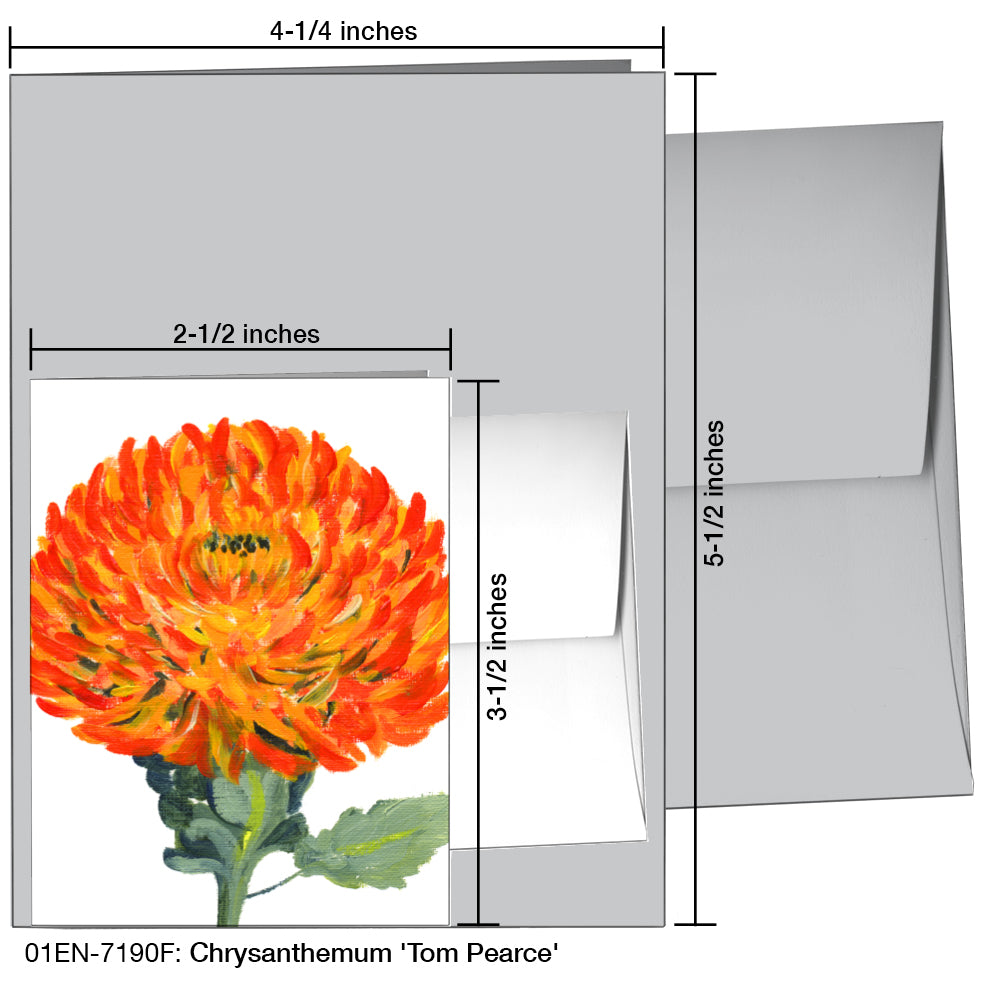 Chrysanthemum 'Tom Pearce', Greeting Card (7190F)