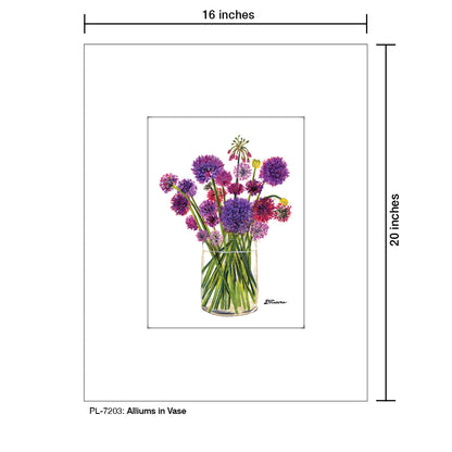 Alliums In Vase, Print (#7203)
