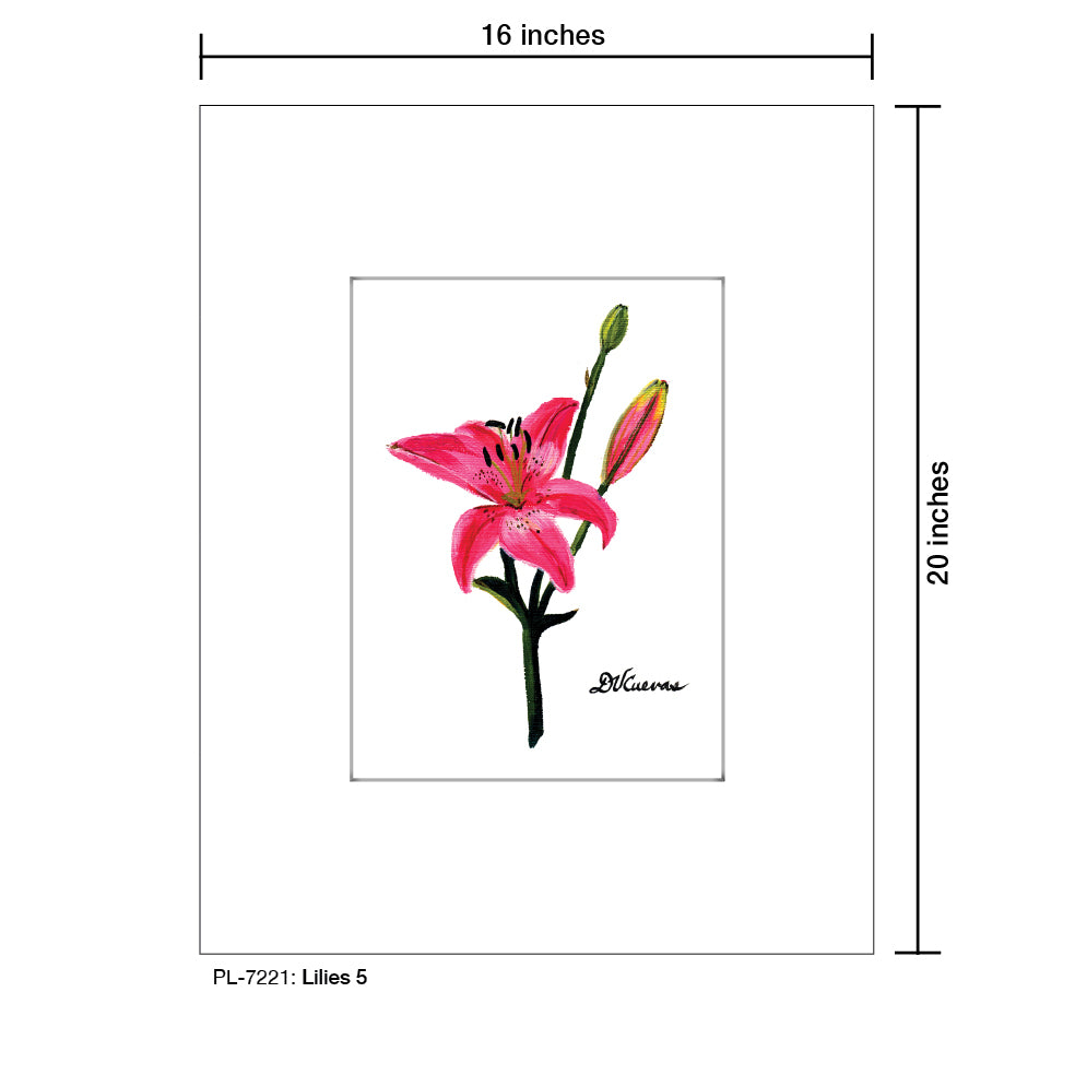 lilies 5, Print (#7221)