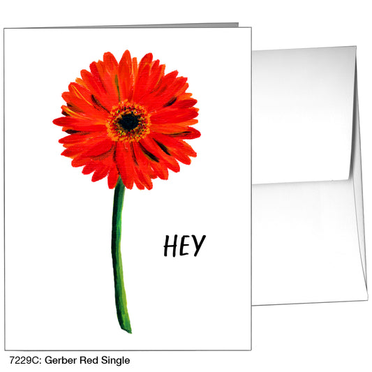 Gerber Red Single, Greeting Card (7229C)