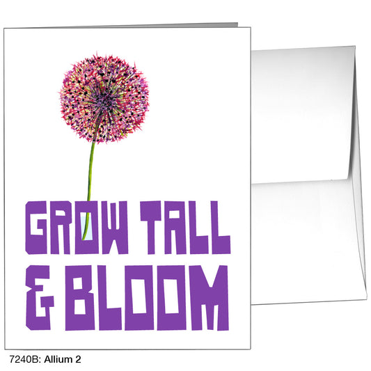 Allium 2, Greeting Card (7240B)
