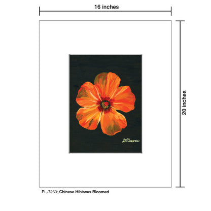 Chinese Hibiscus Bloomed, Print (#7263)