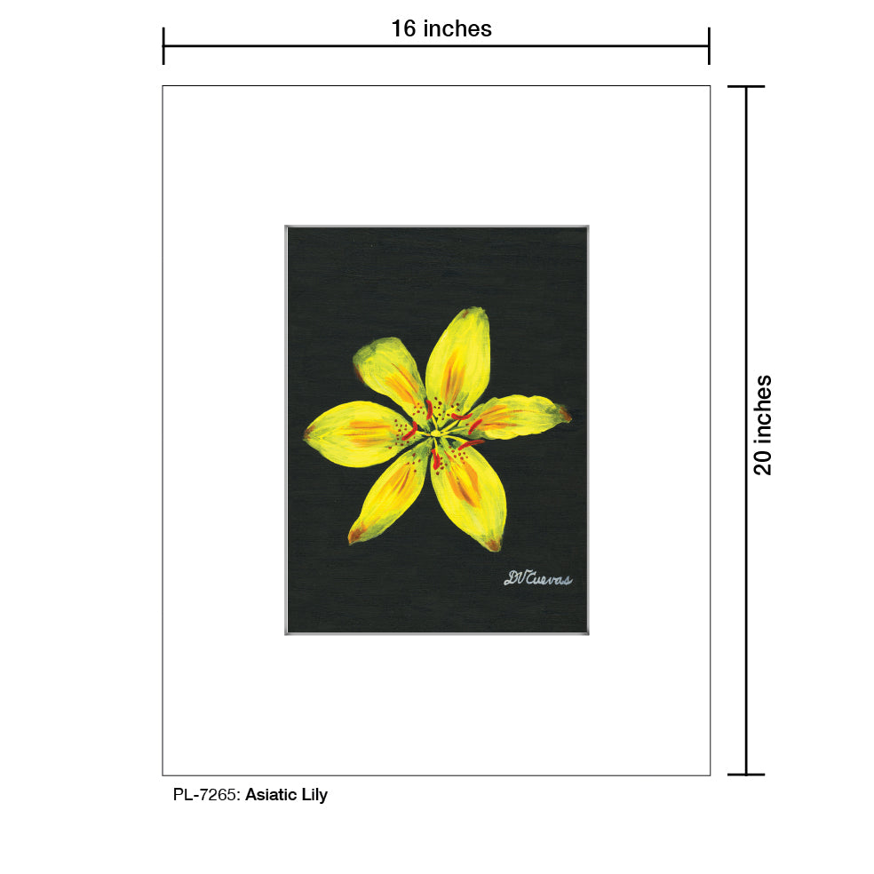 Asiatic Lily, Print (#7265)