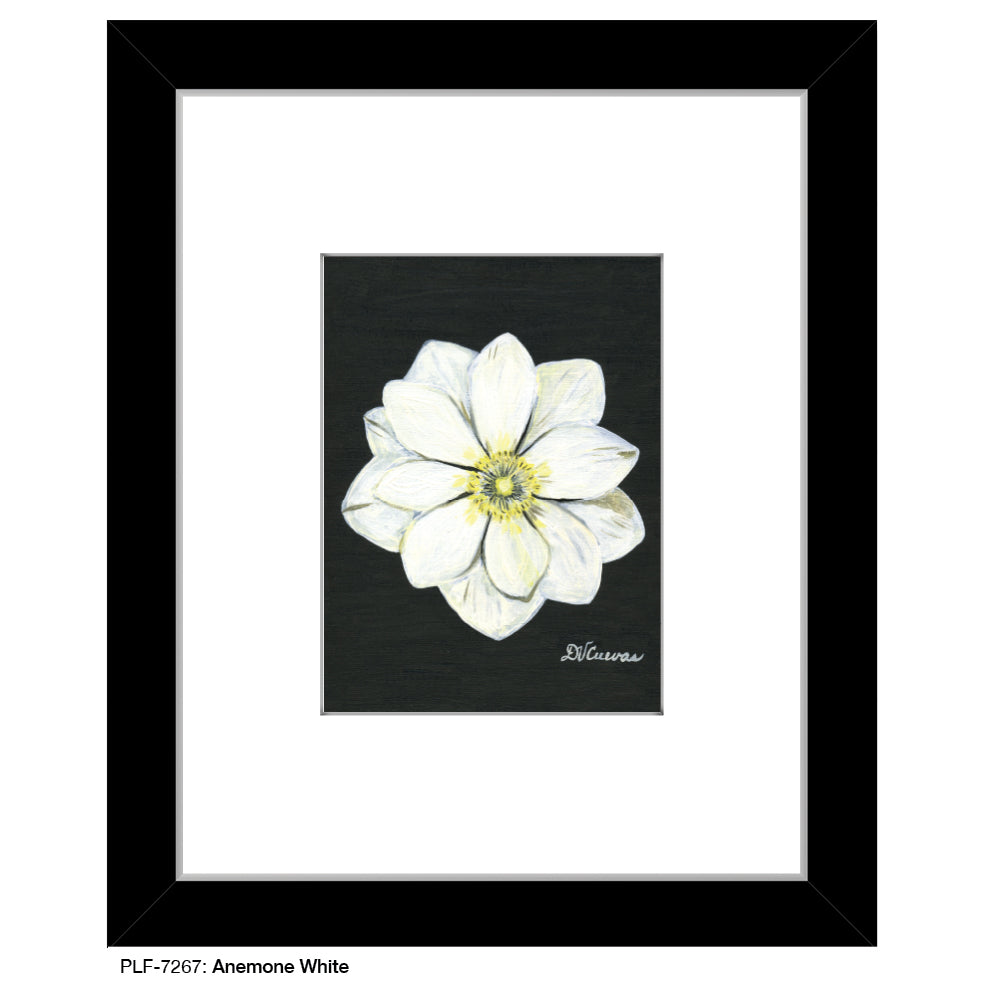 Anemone White, Print (#7267)