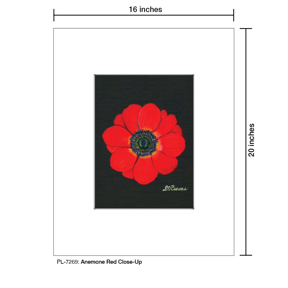 Anemone Red Close-Up, Print (#7269)