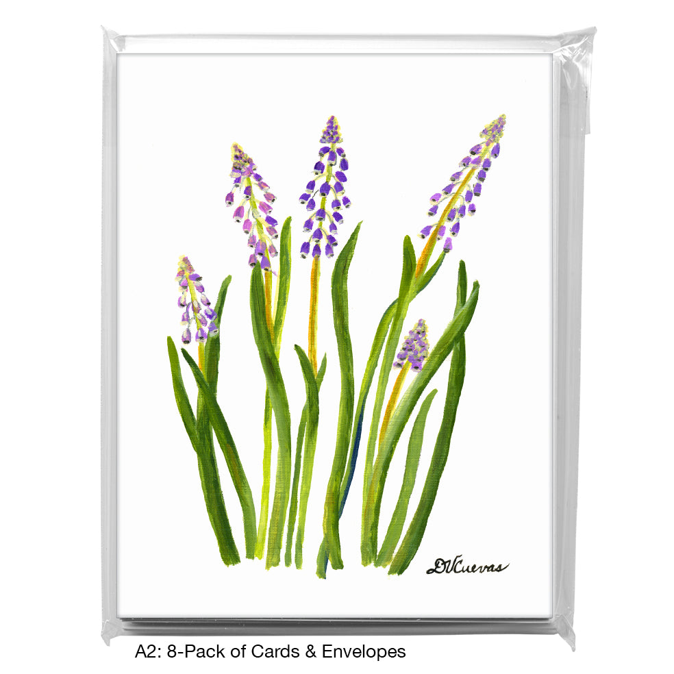 Hyacinth, Greeting Card (7274)