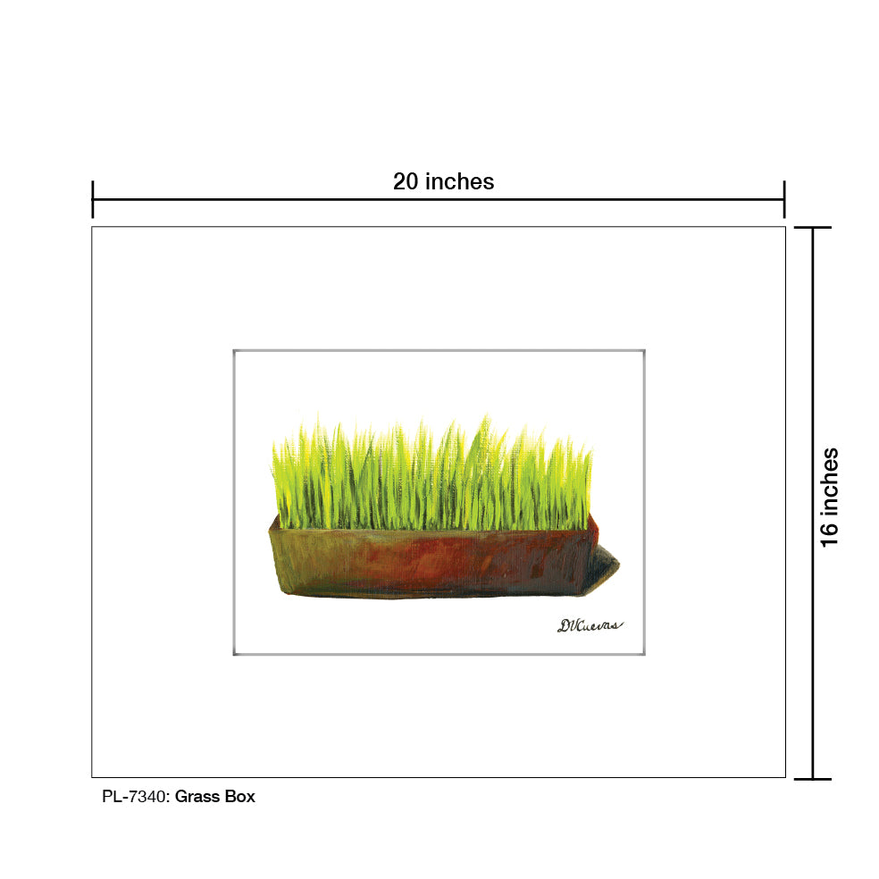 Grass Box, Print (#7340)