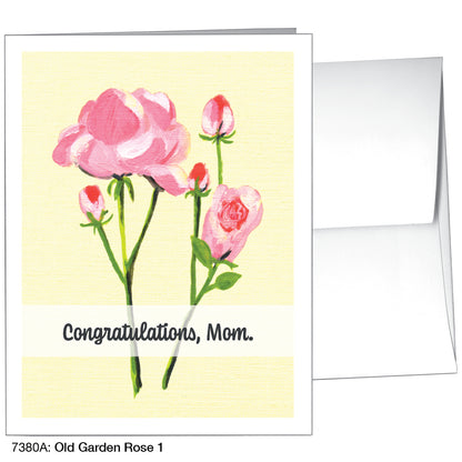 Old Garden Rose 1, Greeting Card (7380A)
