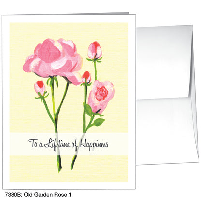 Old Garden Rose 1, Greeting Card (7380B)