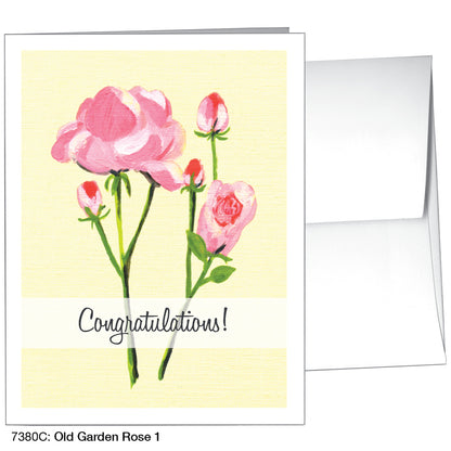 Old Garden Rose 1, Greeting Card (7380C)