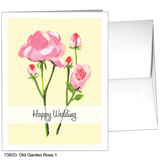 Old Garden Rose 1, Greeting Card (7380D)