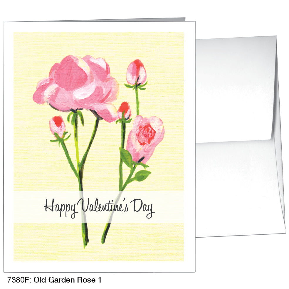 Old Garden Rose 1, Greeting Card (7380F)