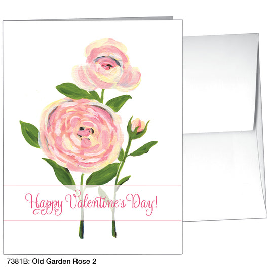 Old Garden Rose 2, Greeting Card (7381B)