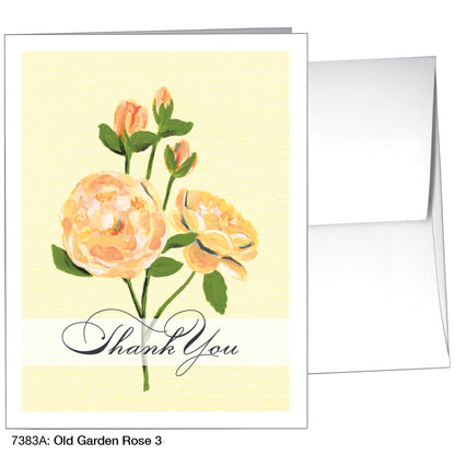 Old Garden Rose 3, Greeting Card (7383A)