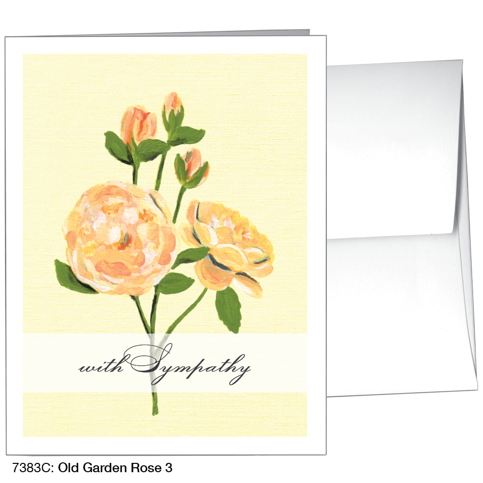 Old Garden Rose 3, Greeting Card (7383C)