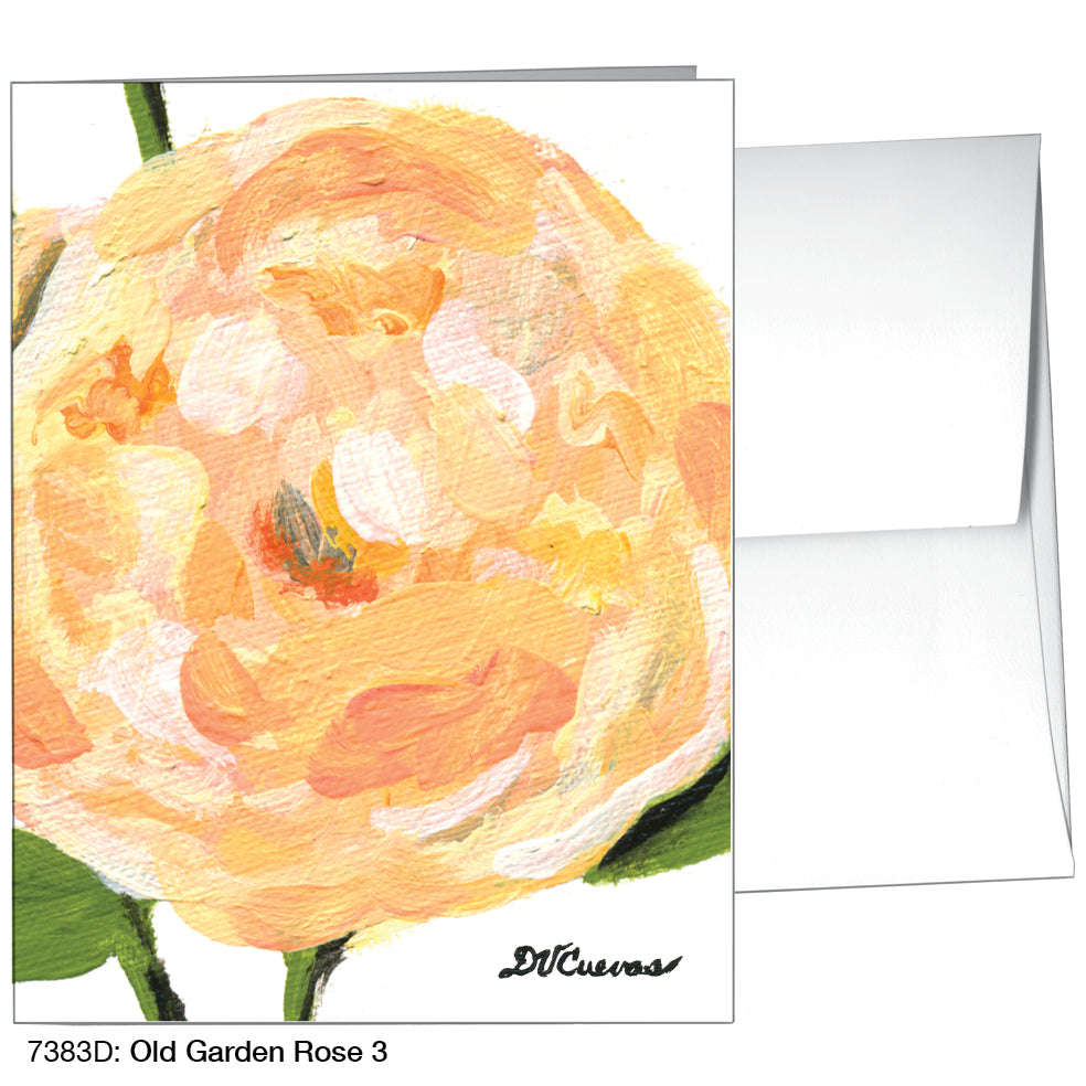 Old Garden Rose 3, Greeting Card (7383D)