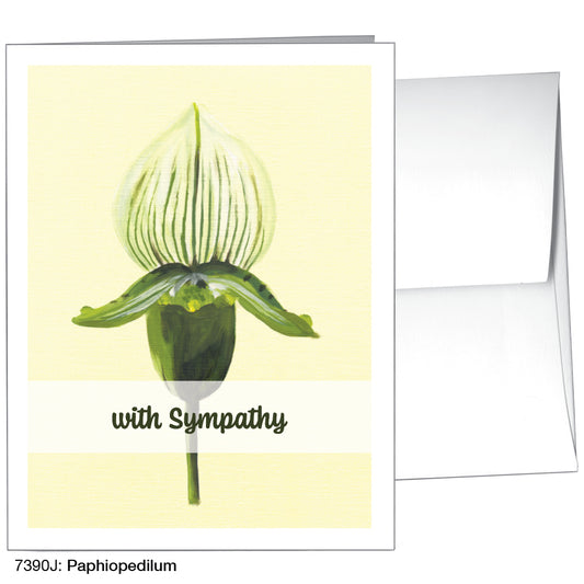 Paphiopedilum, Greeting Card (7390J)