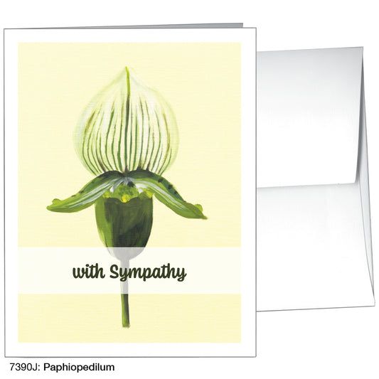 Paphiopedilum, Greeting Card (739J)