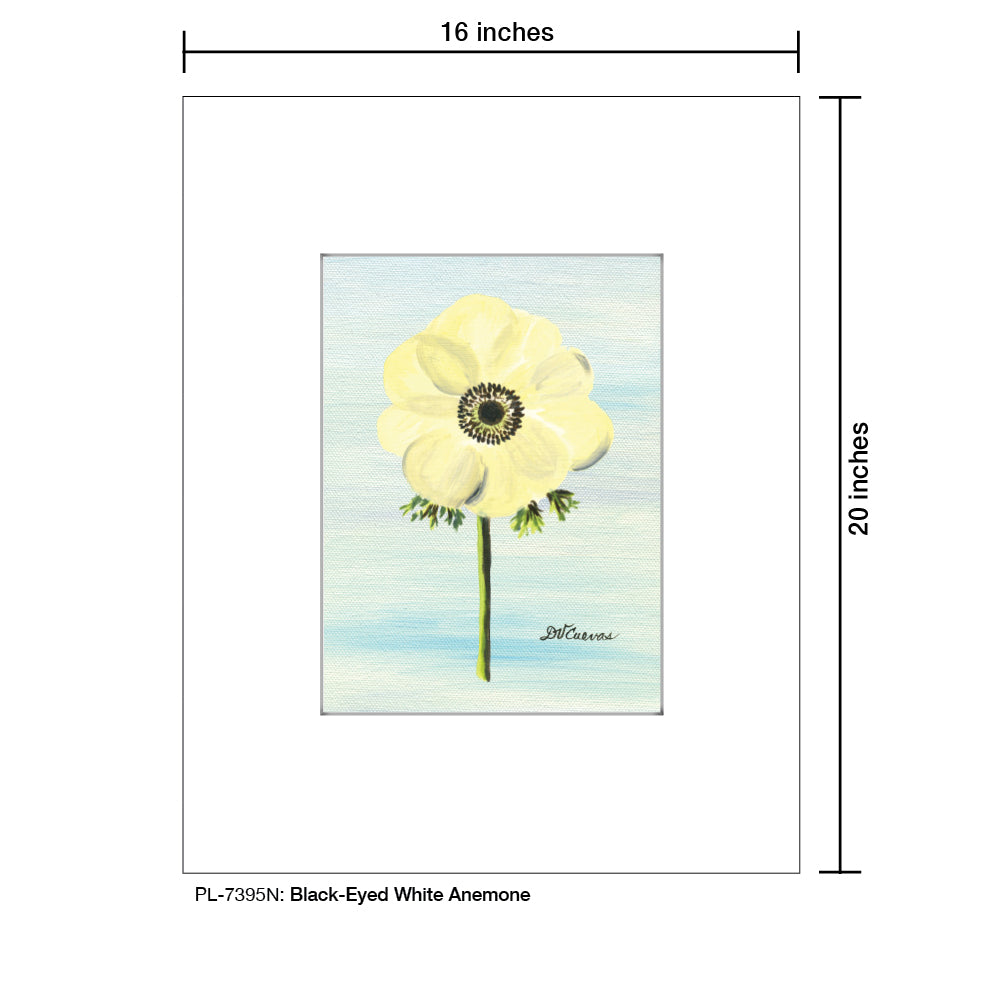 Black-Eyed White Anemone, Print (#7395N)